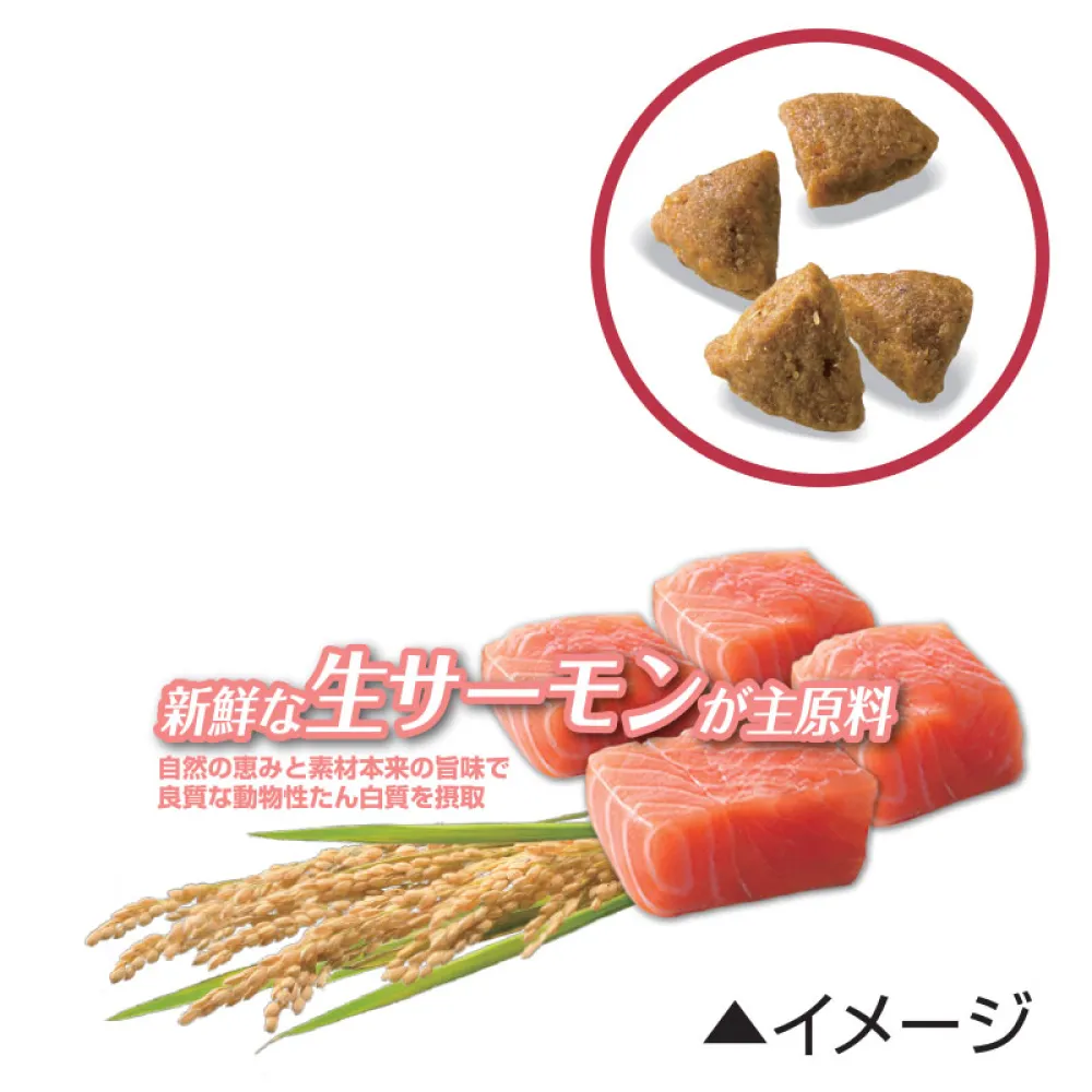 1歳以上 デリケートなお腹と皮膚の健康ケア 小粒 サーモン - ピュリナ